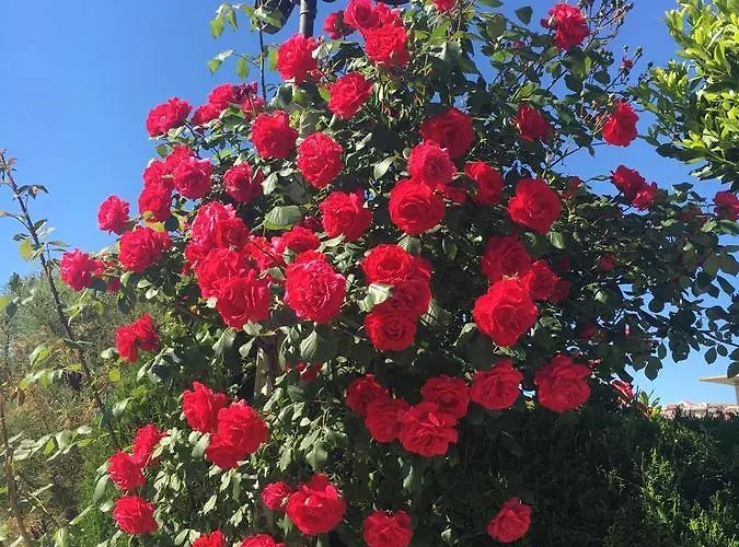 Valeria Hotel Simbario